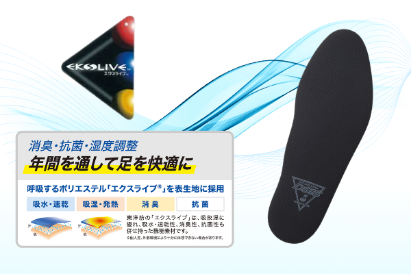 エクスライブ画像